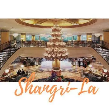 DuoDuo Reed Diffuser - 100ml (1 Bottle Shangri-la)